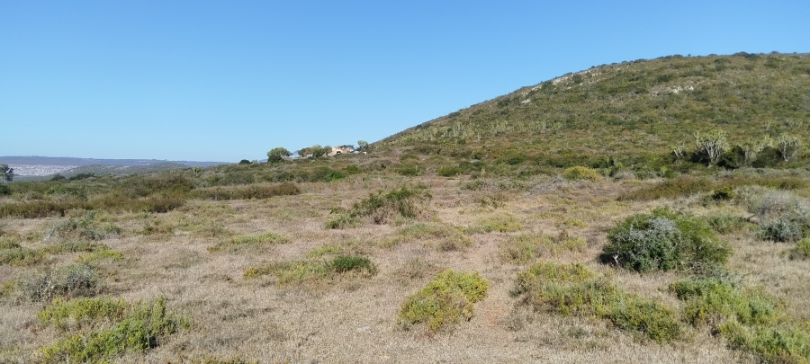 0 Bedroom Property for Sale in Mimosa Dale AH Eastern Cape